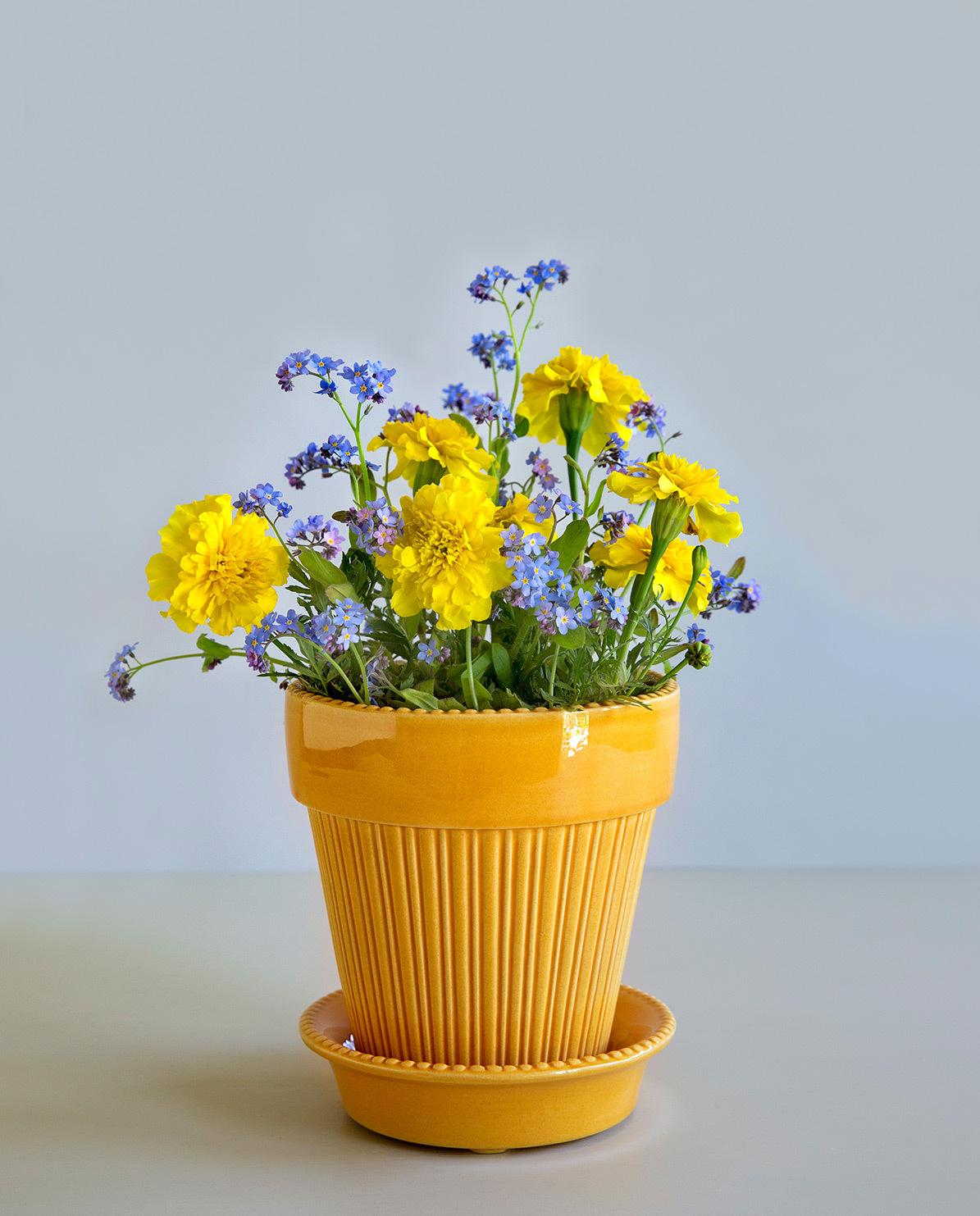 Blumentopf Simona Glazed Pot inkl. Untersetzer Ø 12 cm