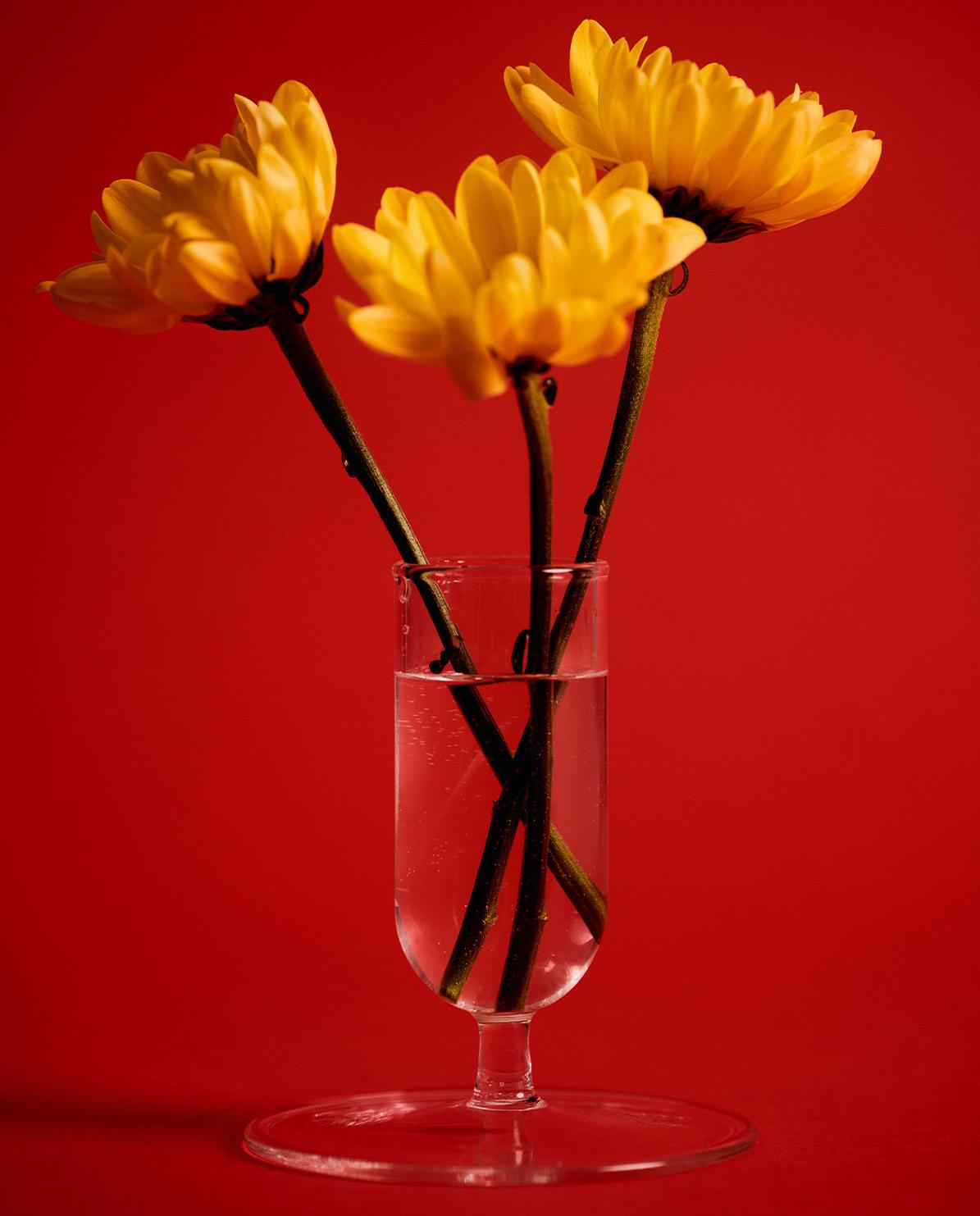 Vase Tiny One Size