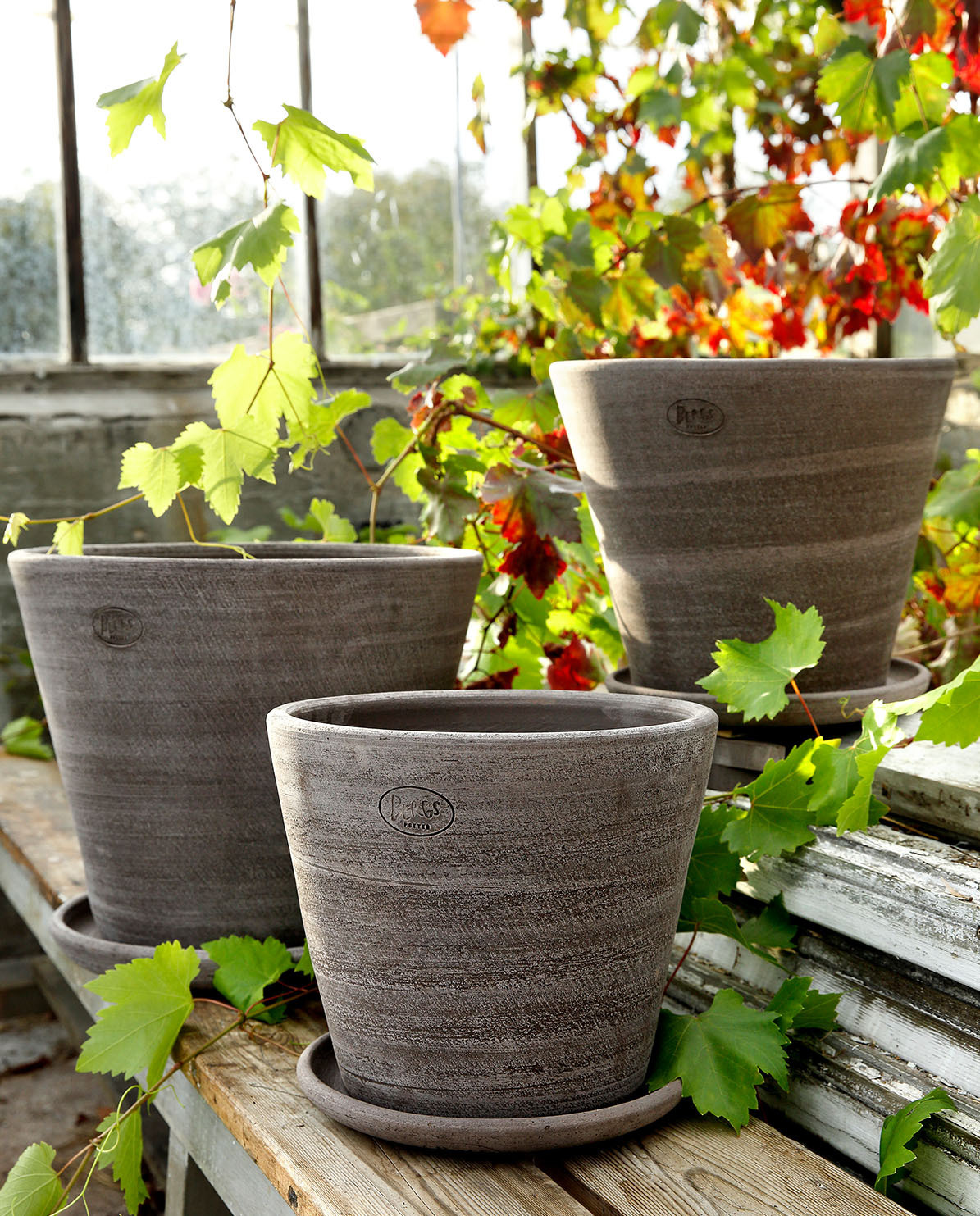 Bergs Potter Blumentopf The Julie Raw Pot inkl. Untersetzer Ø 10 cm