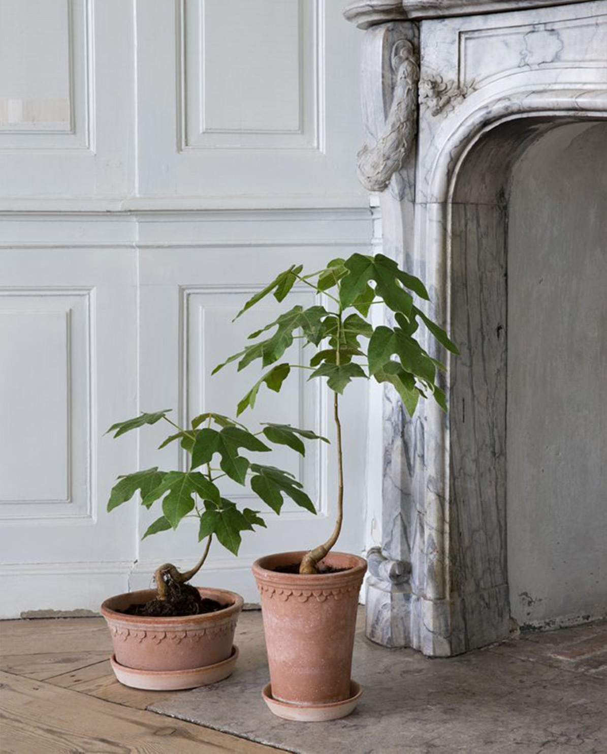 Bergs Potter Blumentopf The Københavner Raw Low Pot inkl. Untersetzer ⌀ 21 cm