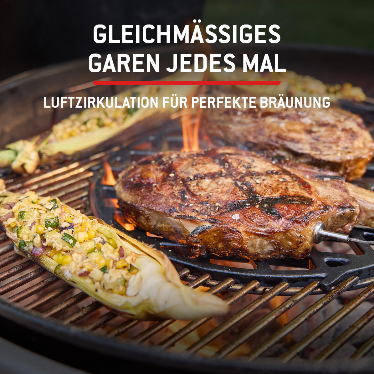 Weber Holzkohlegrill Performer Smart, 57 cm, schwarz (2026)