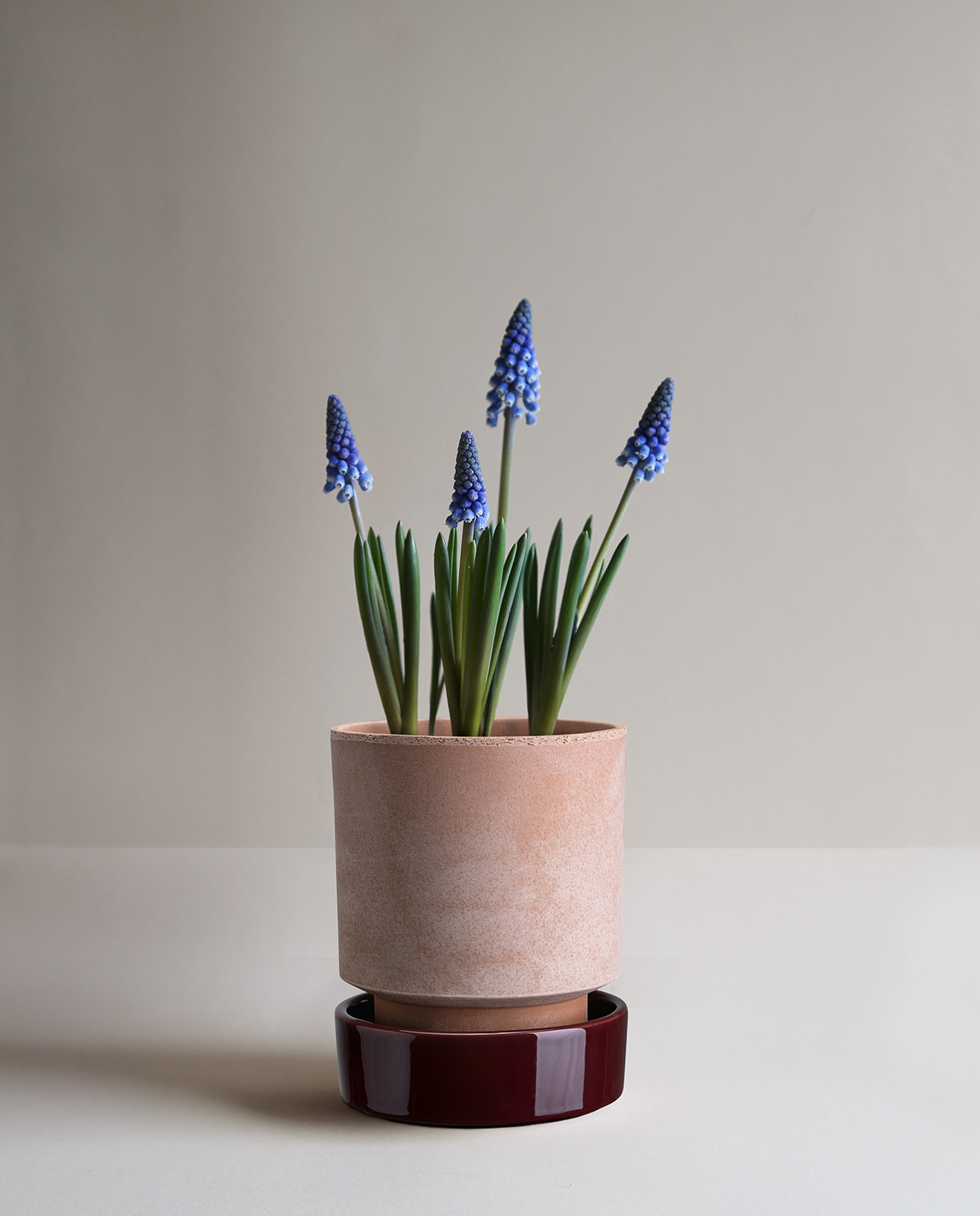 Bergs Potter Untersetzer für Blumentopf The Hoff Pot Ø 8 cm