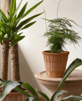 Bergs Potter Blumentopf Atlas Raw Pot inkl. Untersetzer