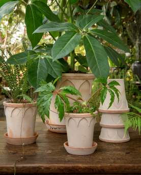 Bergs Potter Blumentopf The Elisabeth Raw Pot inkl. Untersetzer