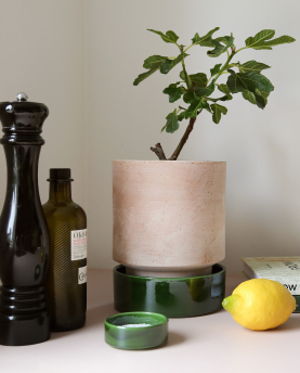 Bergs Potter Blumentopf The Hoff Pot