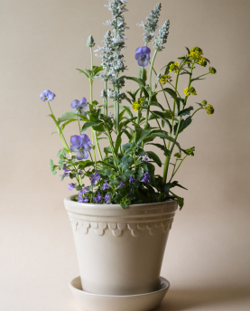 Bergs Potter Blumentopf The Københavner Glazed Pot inkl. Untersetzer