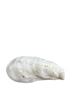 Christina Iversen Studio Schale Oyster