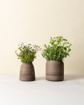Bergs Potter Blumentopf Viva selbstbewässernd Raw Pot inkl. Untersetzer (grey)