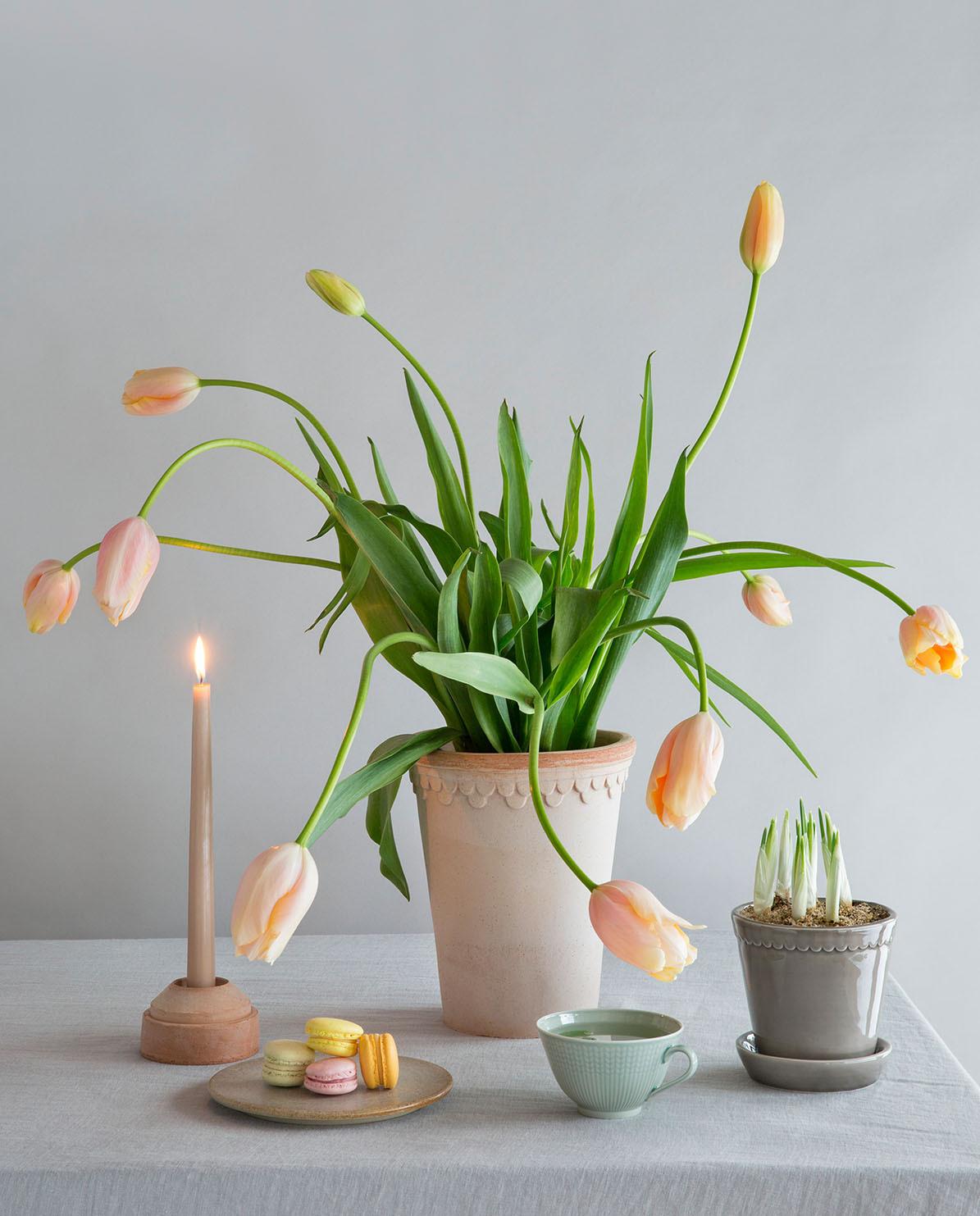 Blumentopf The Helena Glazed Pot inkl. Untersetzer ⌀ 12 cm