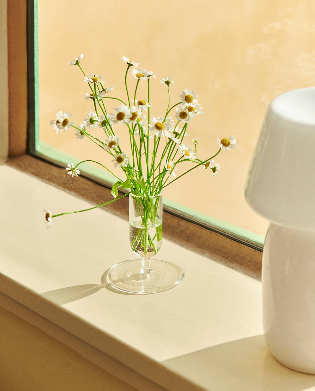 Vase Tiny One Size