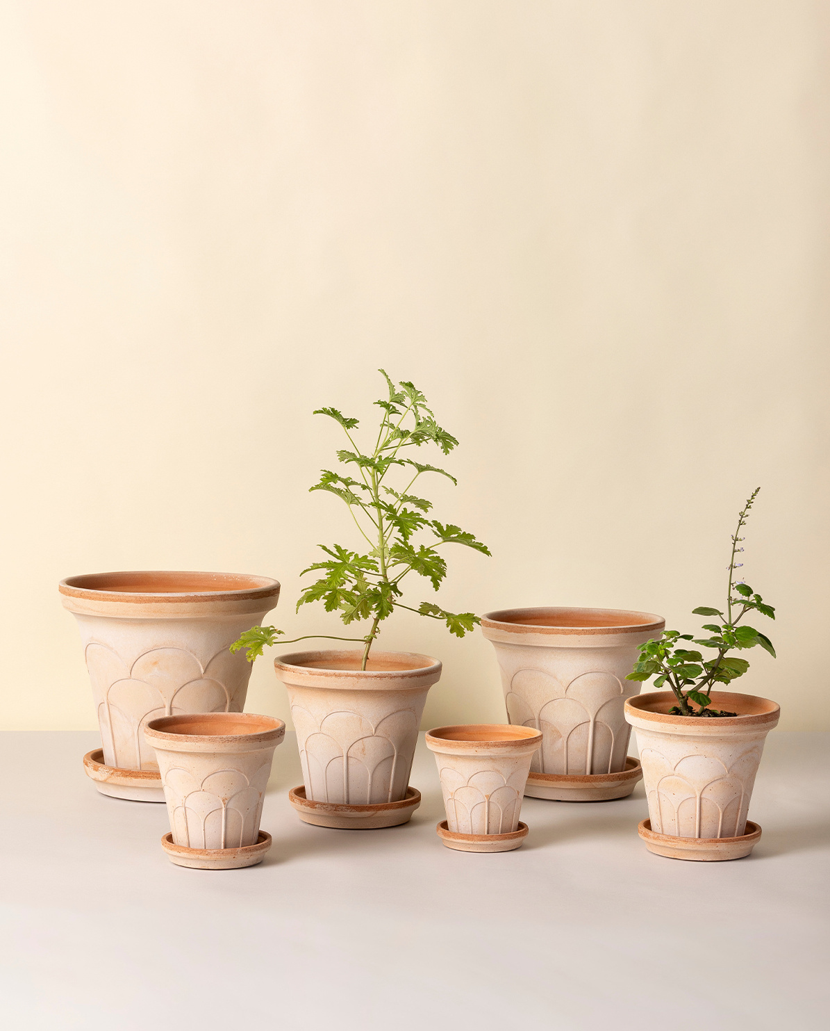 Bergs Potter Blumentopf The Fleur Raw Pot Ø 12 cm