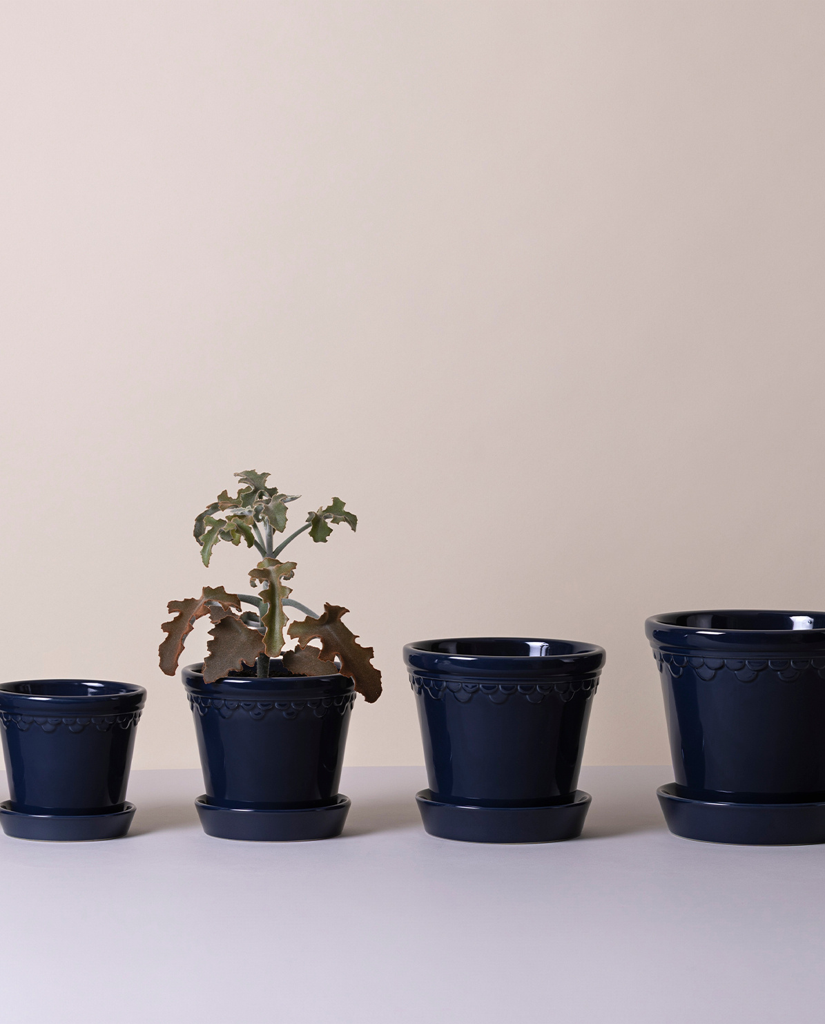 Bergs Potter Blumentopf The Københavner Glazed Pot inkl. Untersetzer ⌀ 10 cm