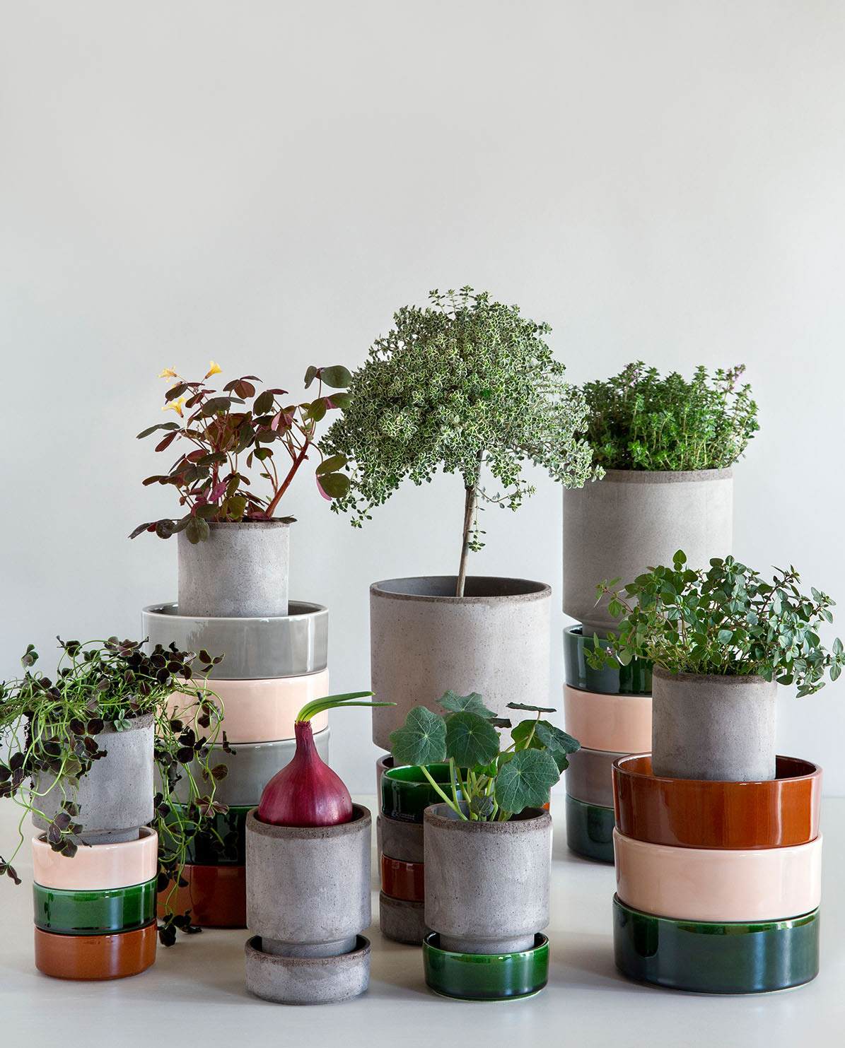 Bergs Potter Untersetzer für Blumentopf The Hoff Pot Ø 8 cm