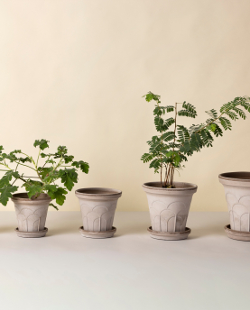Bergs Potter Blumentopf The Fleur Raw Pot