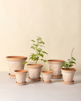 Bergs Potter Blumentopf The Fleur Raw Pot