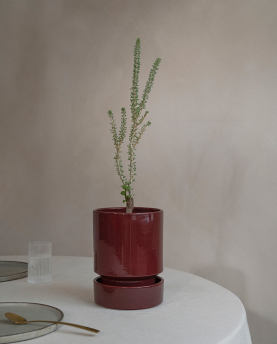 Bergs Potter Untersetzer für Blumentopf The Hoff Pot