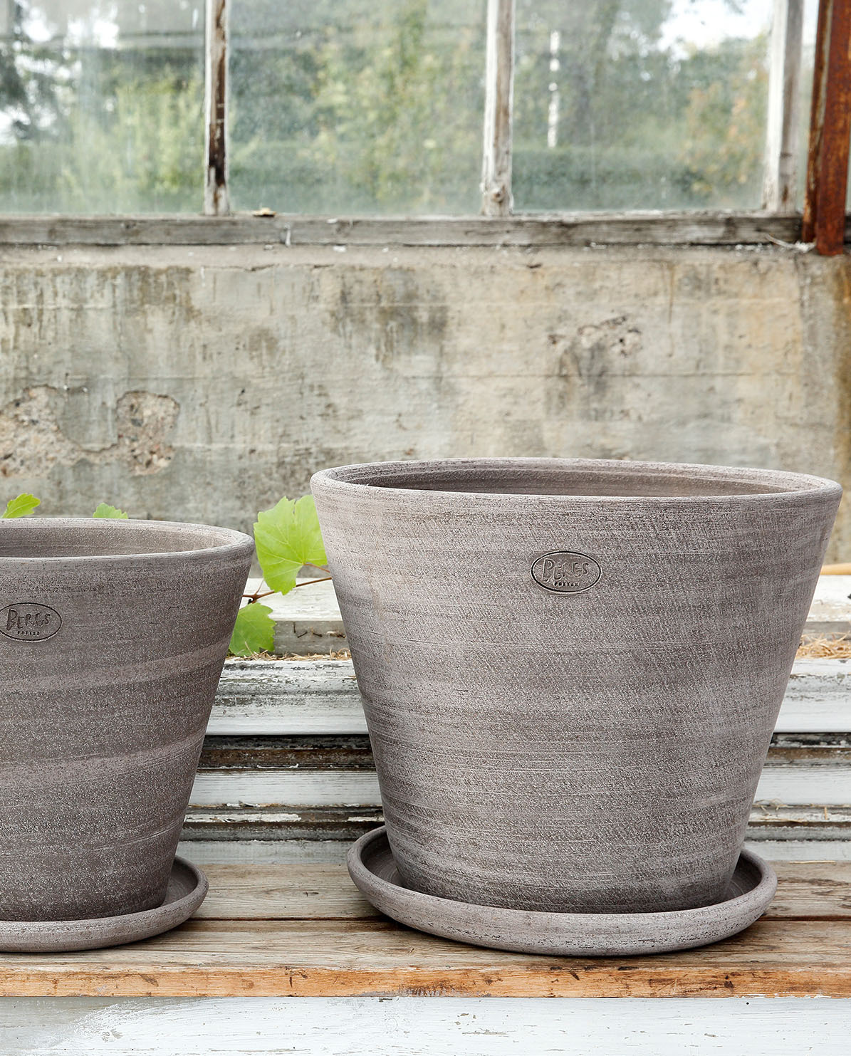 Bergs Potter Blumentopf The Julie Raw Pot inkl. Untersetzer Ø 10 cm