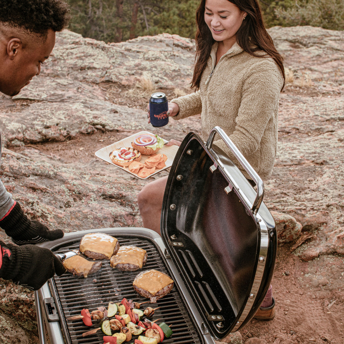 Weber Gasgrill Traveler (2026)