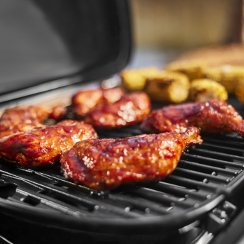 Weber Gasgrill Traveler Compact (2026)