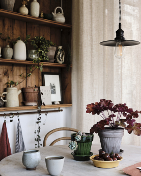 Bergs Potter Blumentopf Simona Raw Pot inkl. Untersetzer