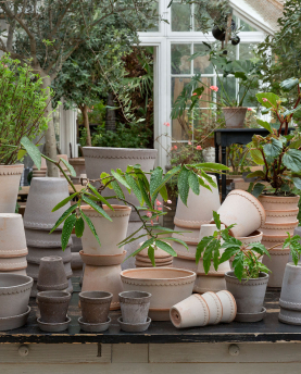Bergs Potter Blumentopf The Helena Raw Pot inkl. Untersetzer