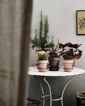 Bergs Potter Blumentopf Simona Raw Pot inkl. Untersetzer