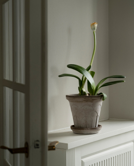 Bergs Potter Blumentopf The Fleur Raw Pot