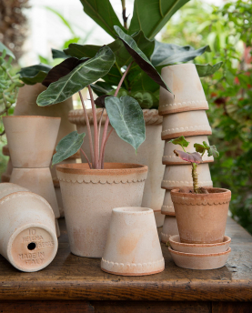 Bergs Potter Blumentopf The Helena Raw Pot inkl. Untersetzer