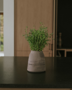 Bergs Potter Blumentopf Viva selbstbewässernd Raw Pot inkl. Untersetzer (grey)