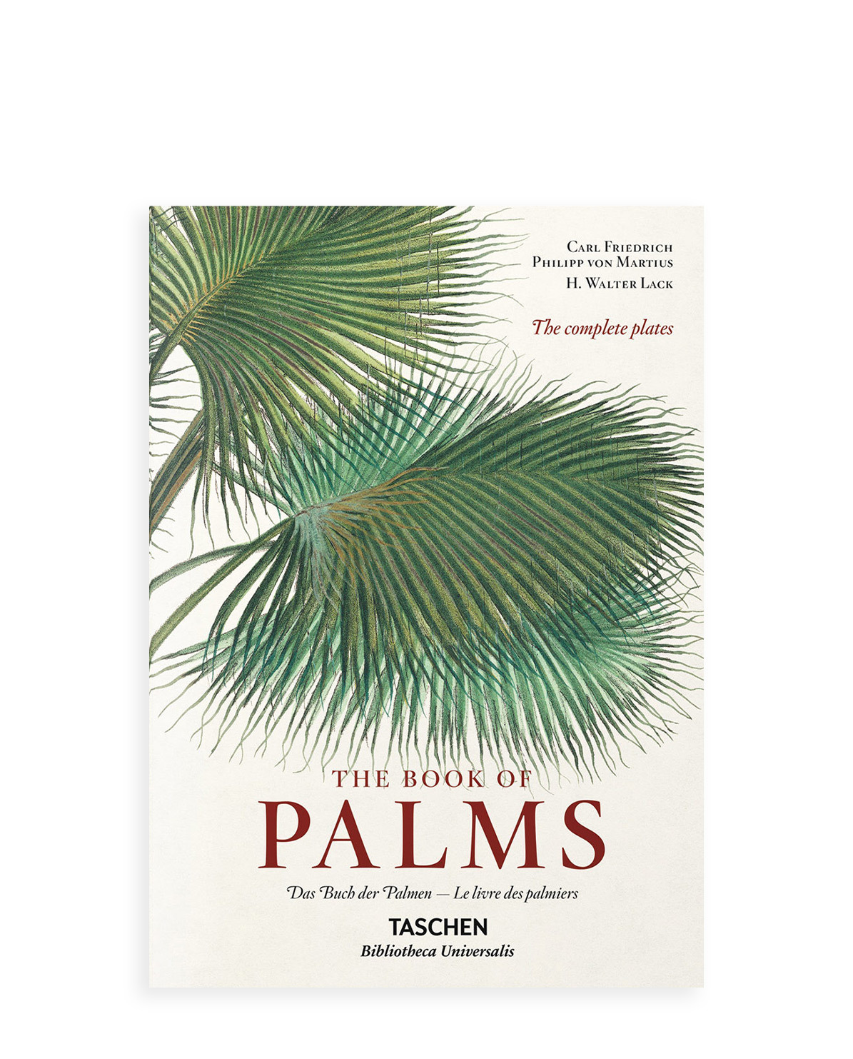 Martius: The Book of Palms - Bild 5